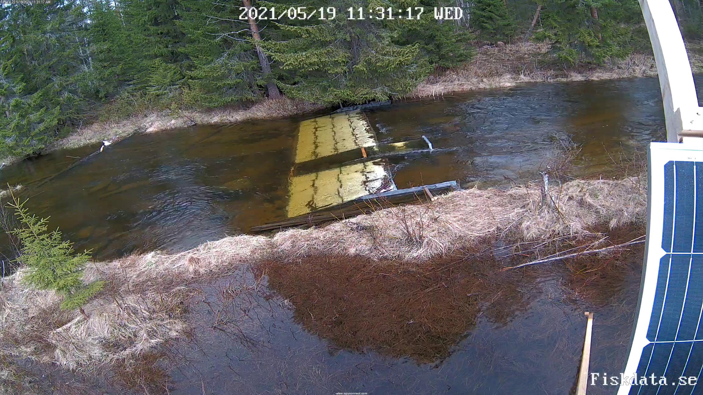 En fiskräknarinstallation som överblickas av en webbkamera